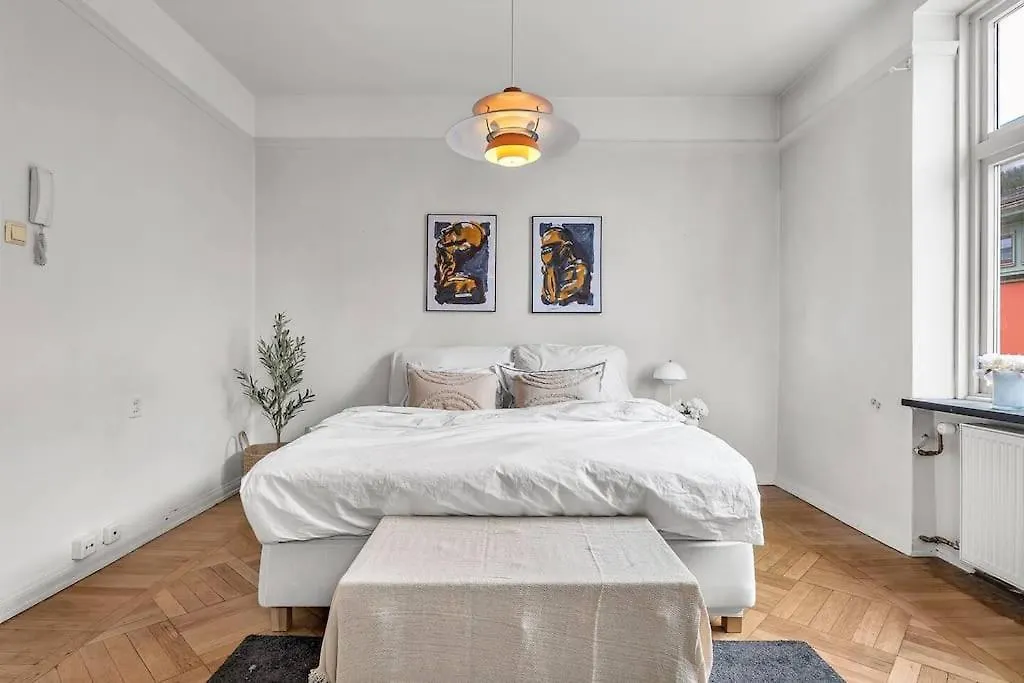 Kanskje Den Storste Airbnb-Leiligheten I Sentrum! Bergen Norway